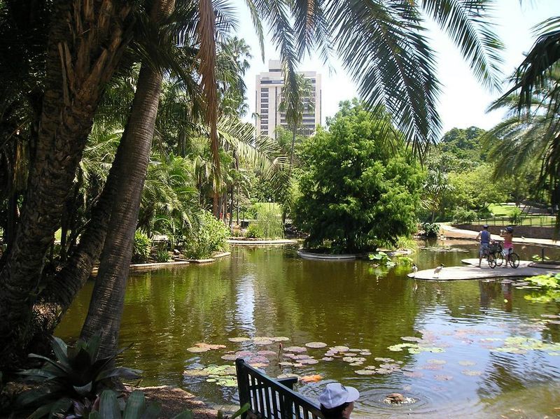 Brisbane-city-botanic-gardens