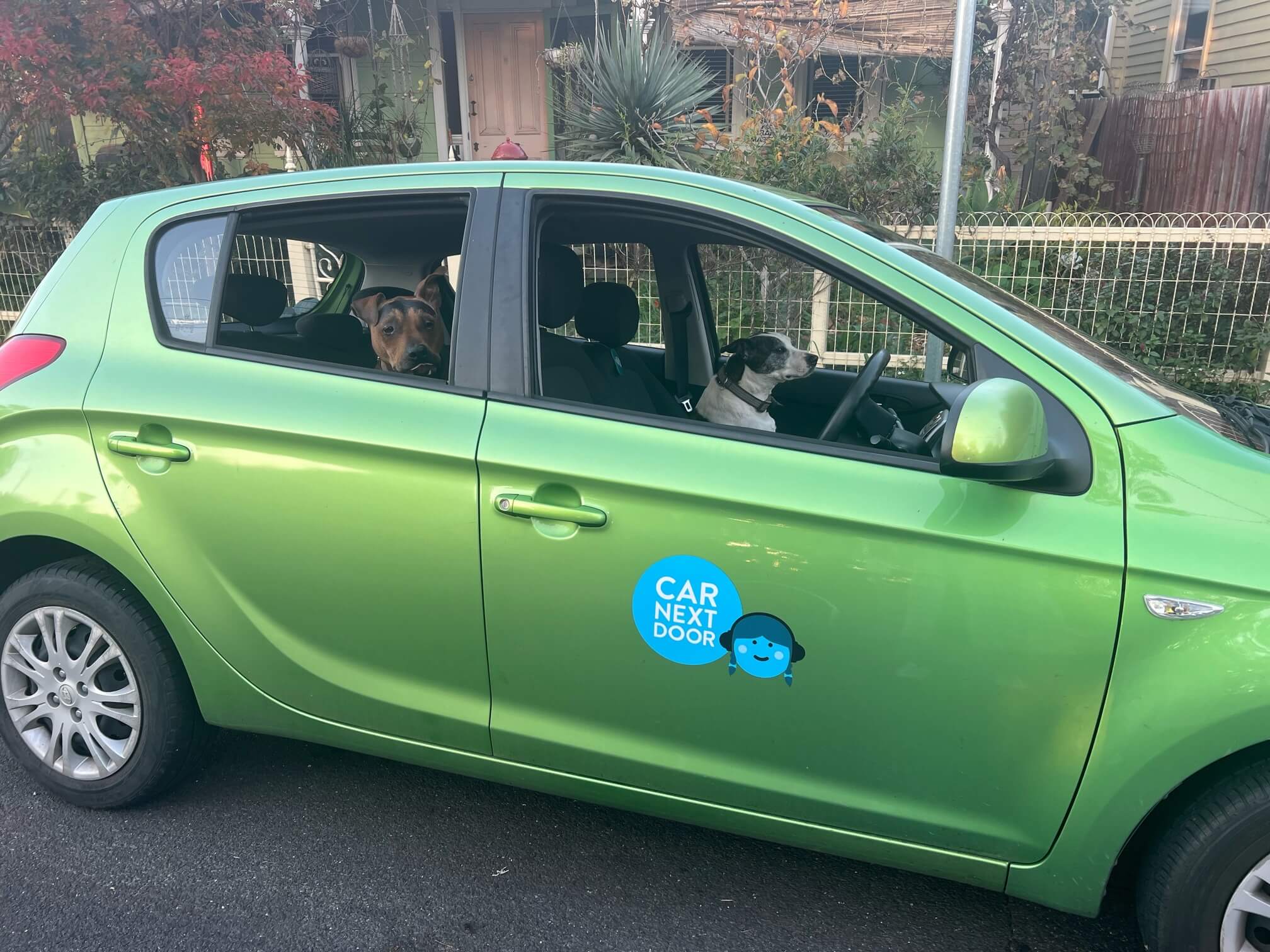 Pictured: Dog friendly car rental